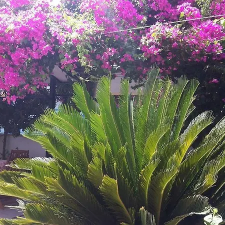 Grand Apart * Dalyan